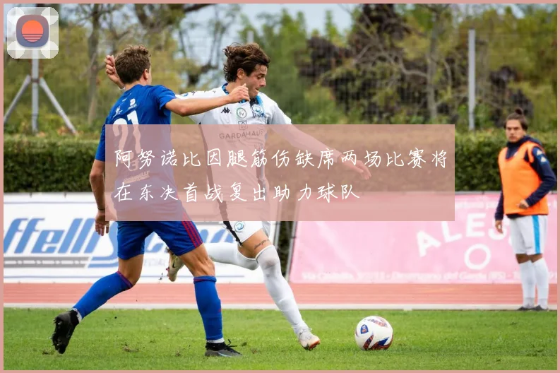 阿努诺比因腿筋伤缺席两场比赛将在东决首战复出助力球队